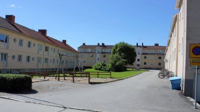 Sädesärlan