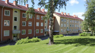 Två stora trevåningshus. Ett med roströd och ett med lejongul puts. En gammal björkstam i förgrunden.