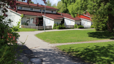 Innergård med asfalterad väg och hyreshus i bakgrunden. Mycket grönska i förgrunden.