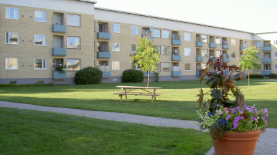 En blomkruka med sommarblommor i förgrunden och ett gult flerbostadshus i tre våningar med blåa balkonger i bakgrunden.